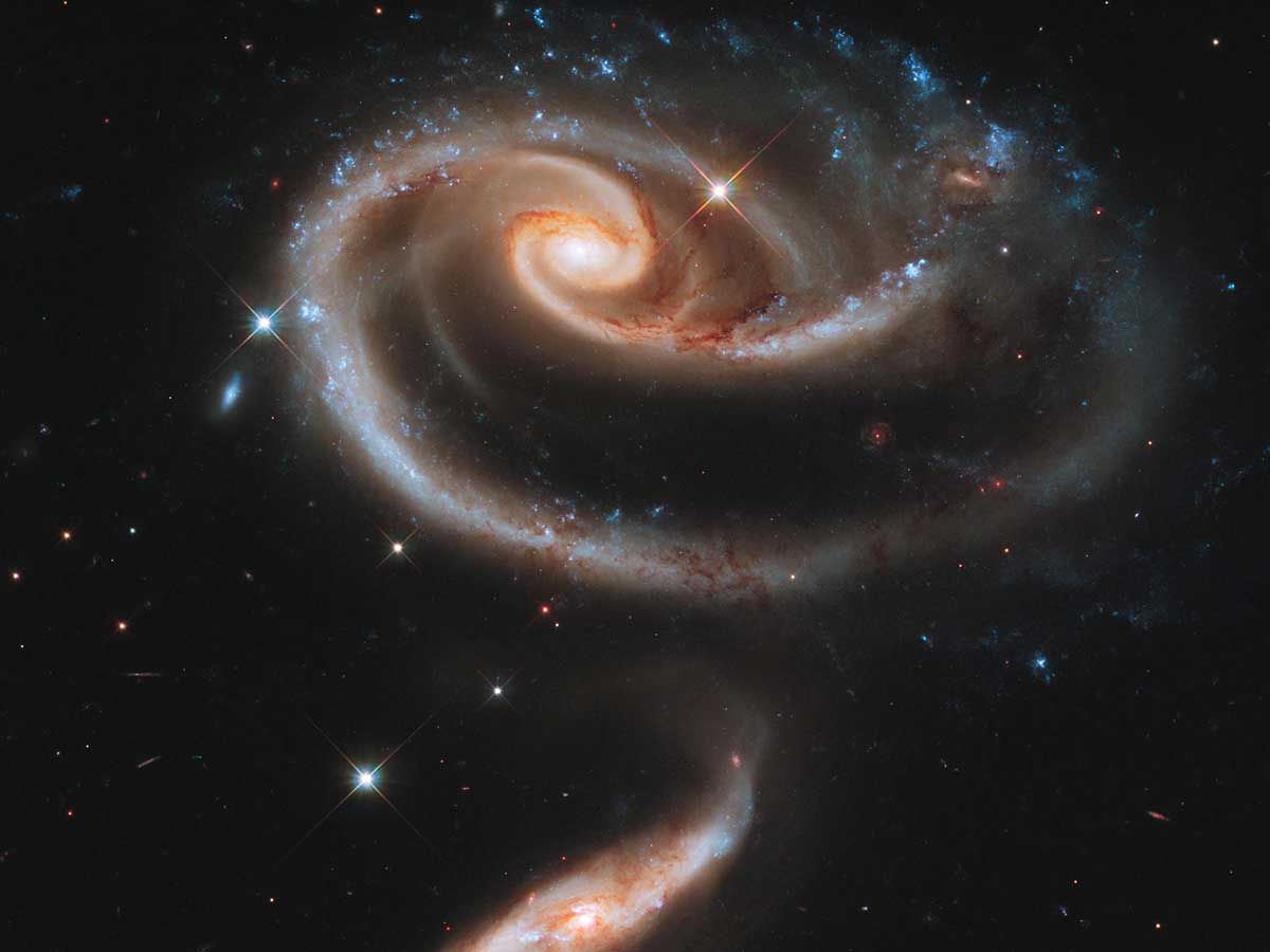 The Rose Galaxies