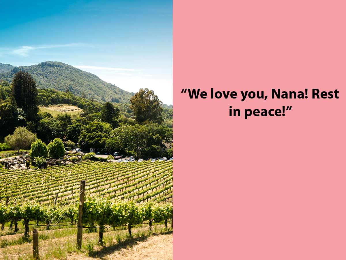 Nana at the Vineyards