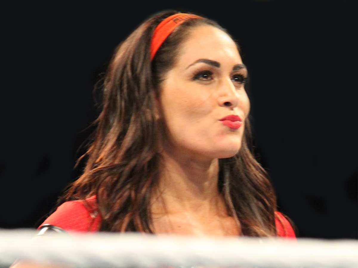 24. Brie Bella