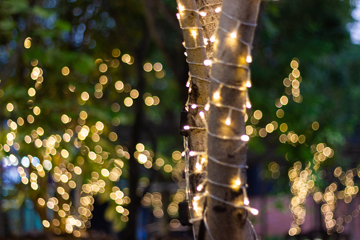Luces de Navidad en julio