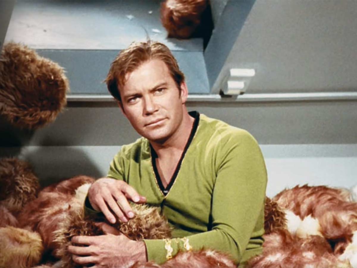 Almost everyone on The Original Series hated William Shatner.