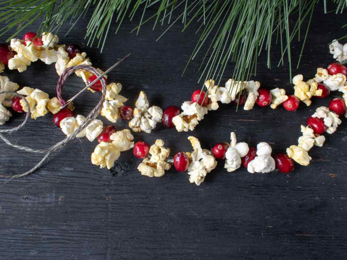Popcorn Garland