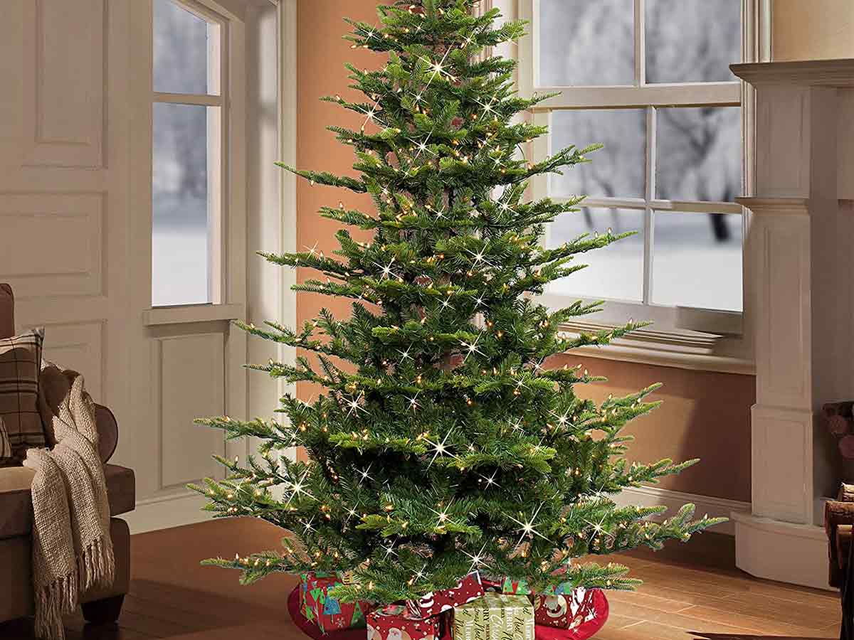 Scraggly Christmas Trees