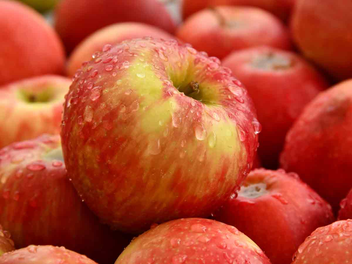 Least Addictive: Apples