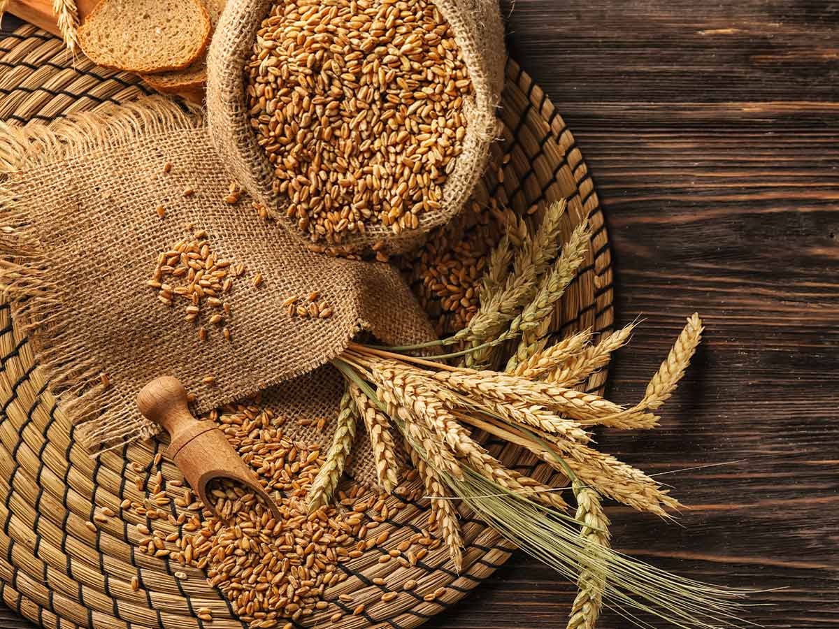 Wheat