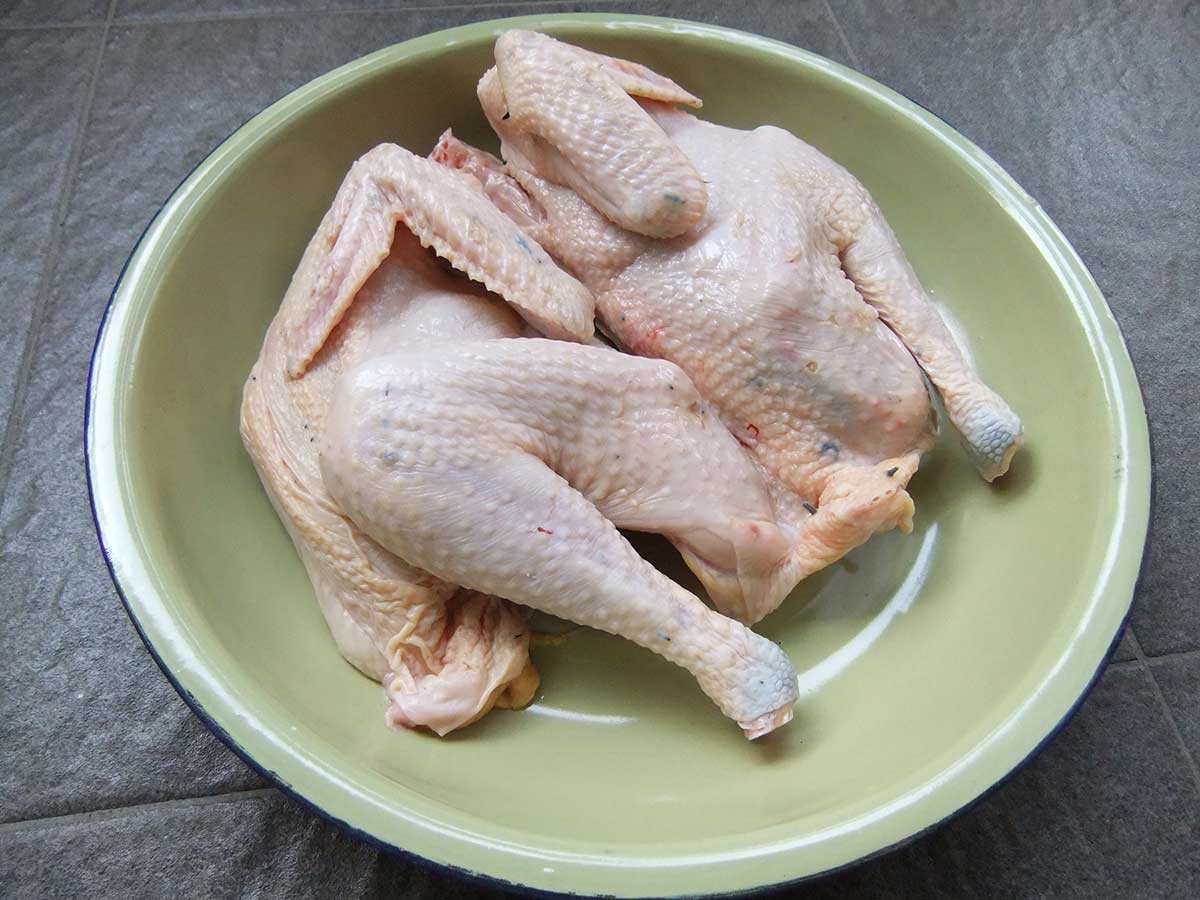 Chicken