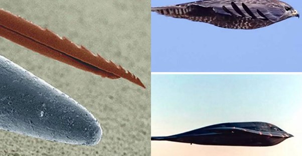 incredible comparisons show us things in a new way