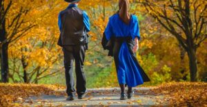 interesting amish facts