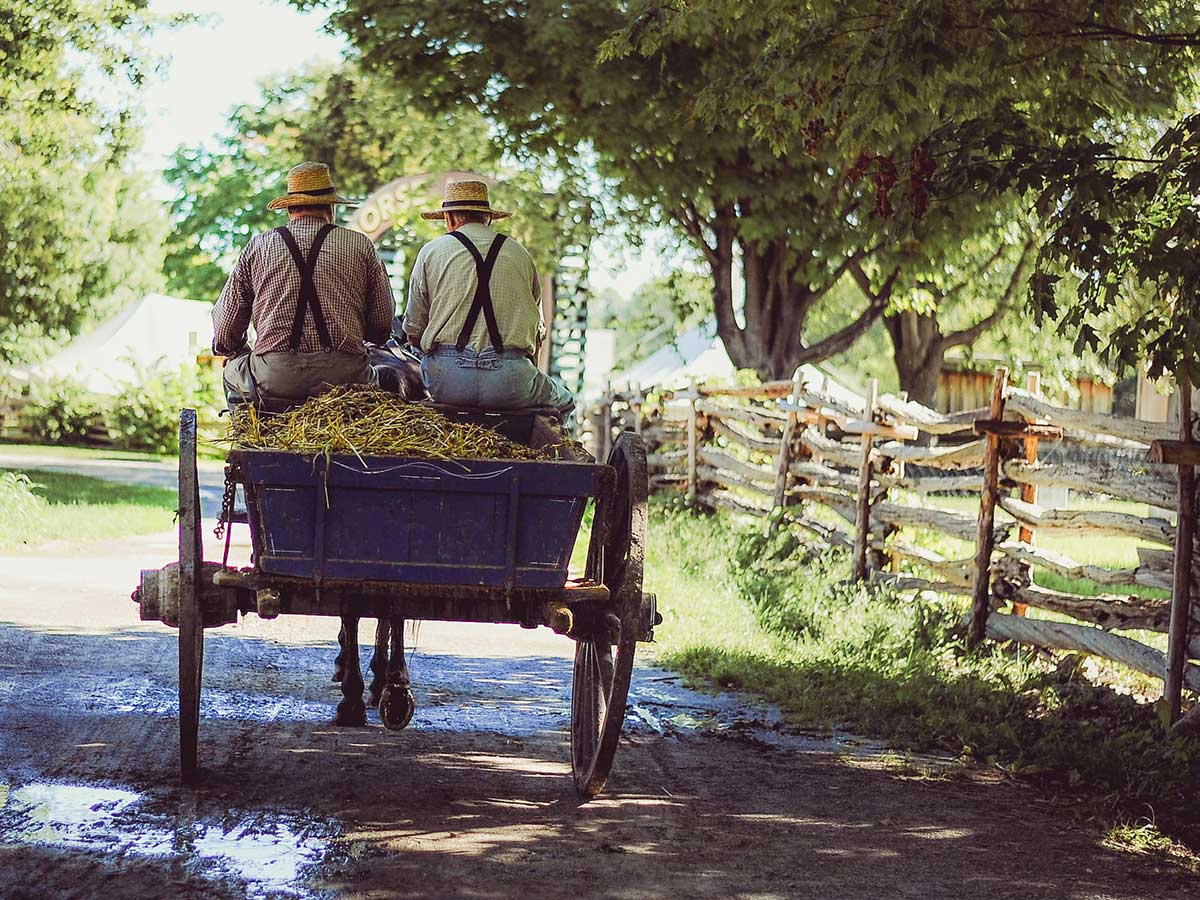 The Amish don't proselytize.