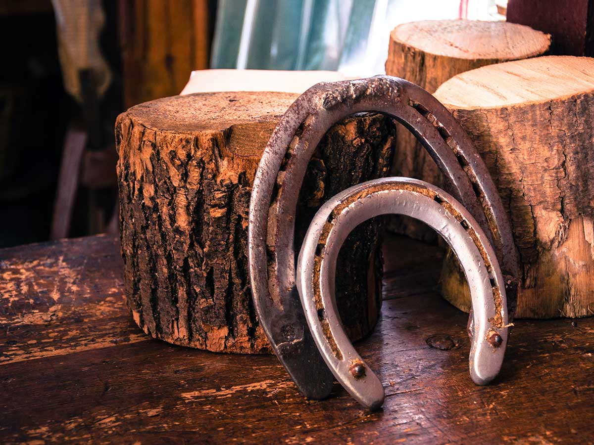 Amish life isn't actually that boring.