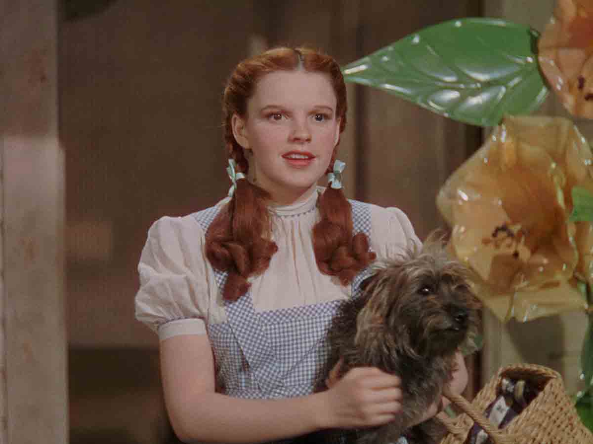 The Wizard Of Oz Fan Theory