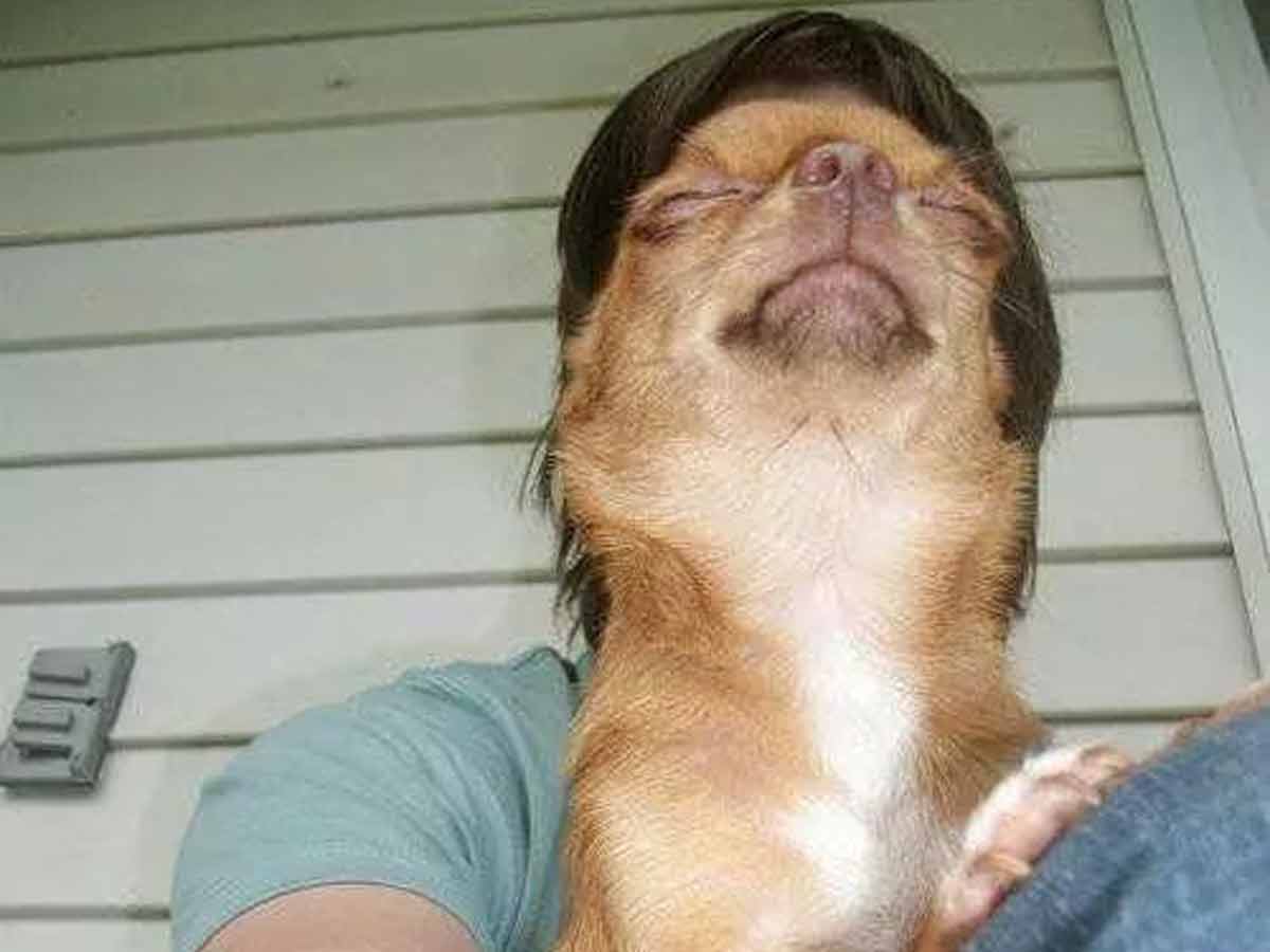 Man-Dog