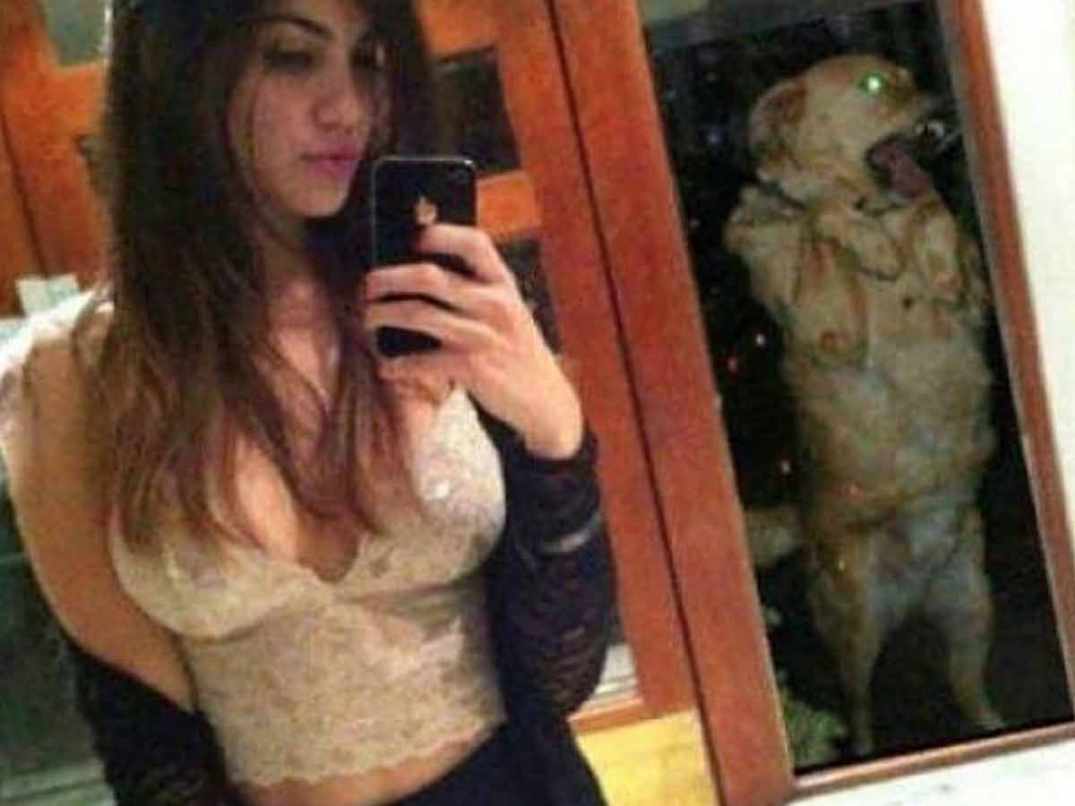 When Your Dog is Tired of Your Selfies