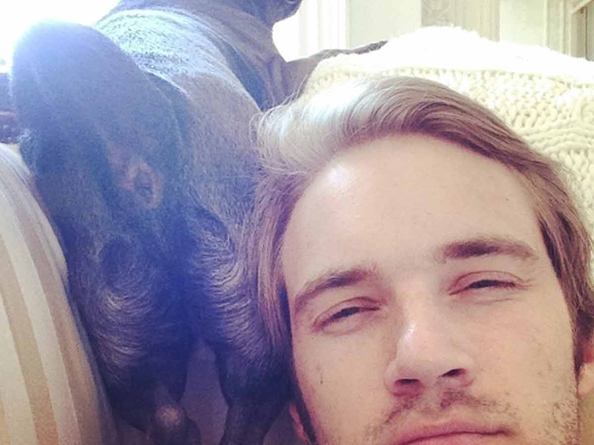 More Dog Behind!
