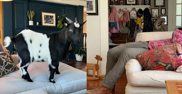 Inside the Homes of HGTV Stars