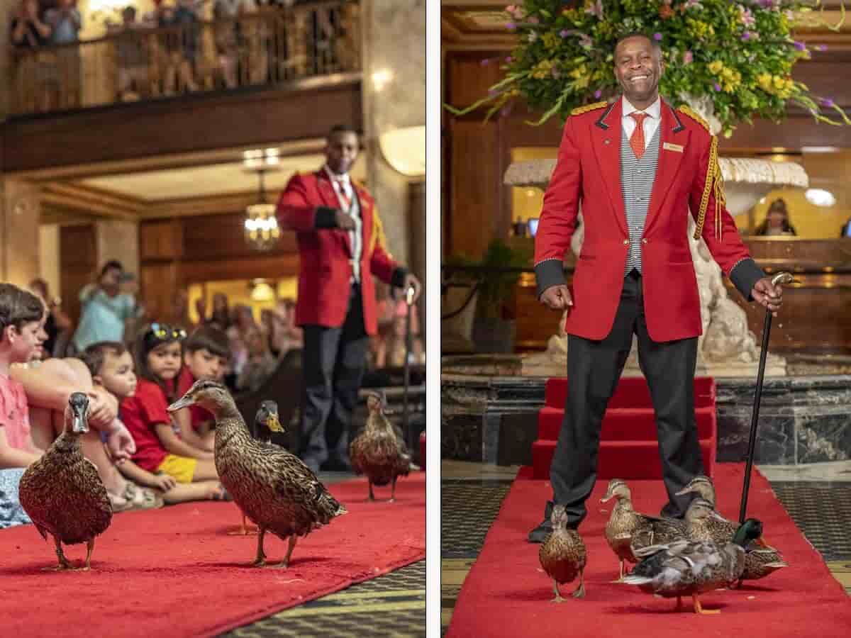 10. The Peabody & Its World-Famous Ducks
