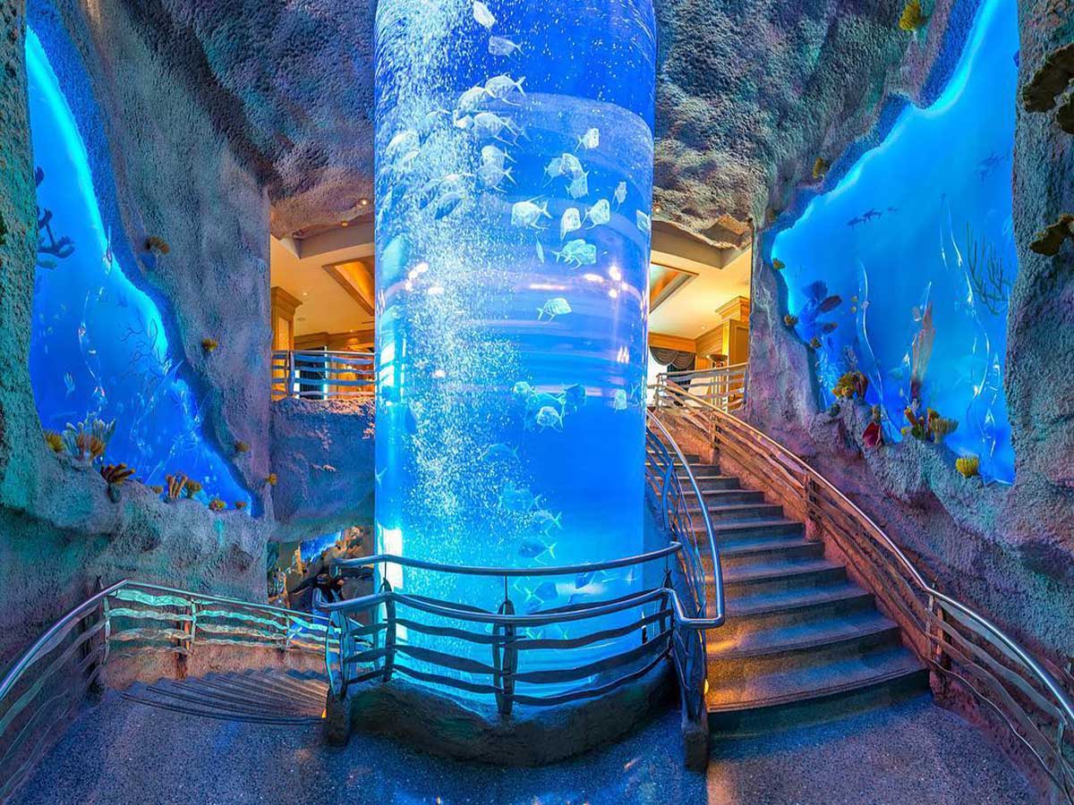 14. Downtown Aquarium