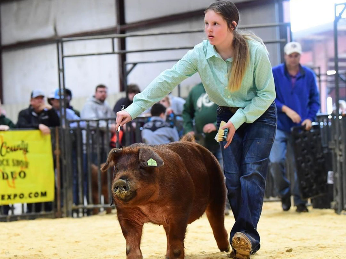 7. See The Houston Livestock Show & Rodeo