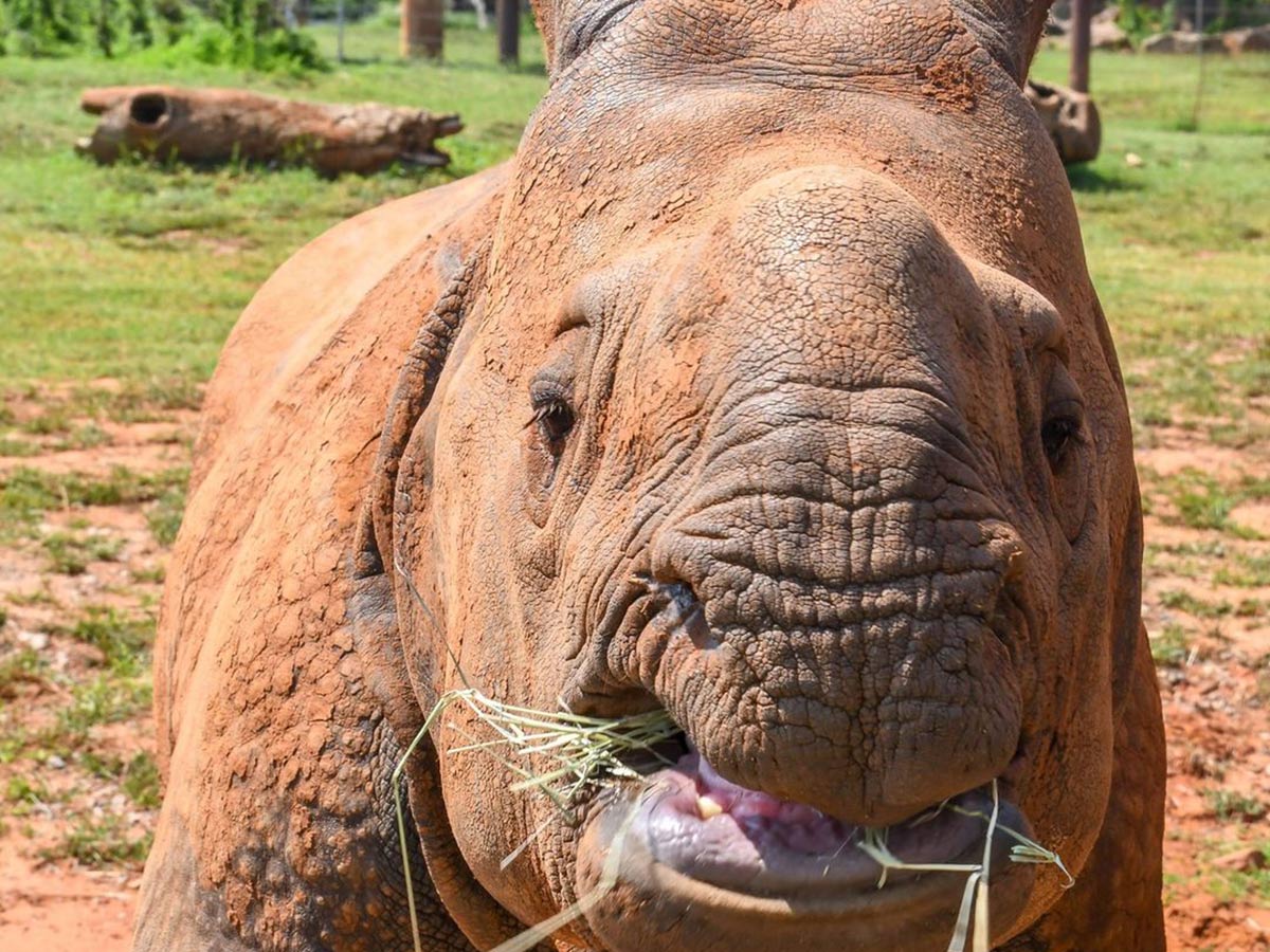 5. Oklahoma City Zoo
