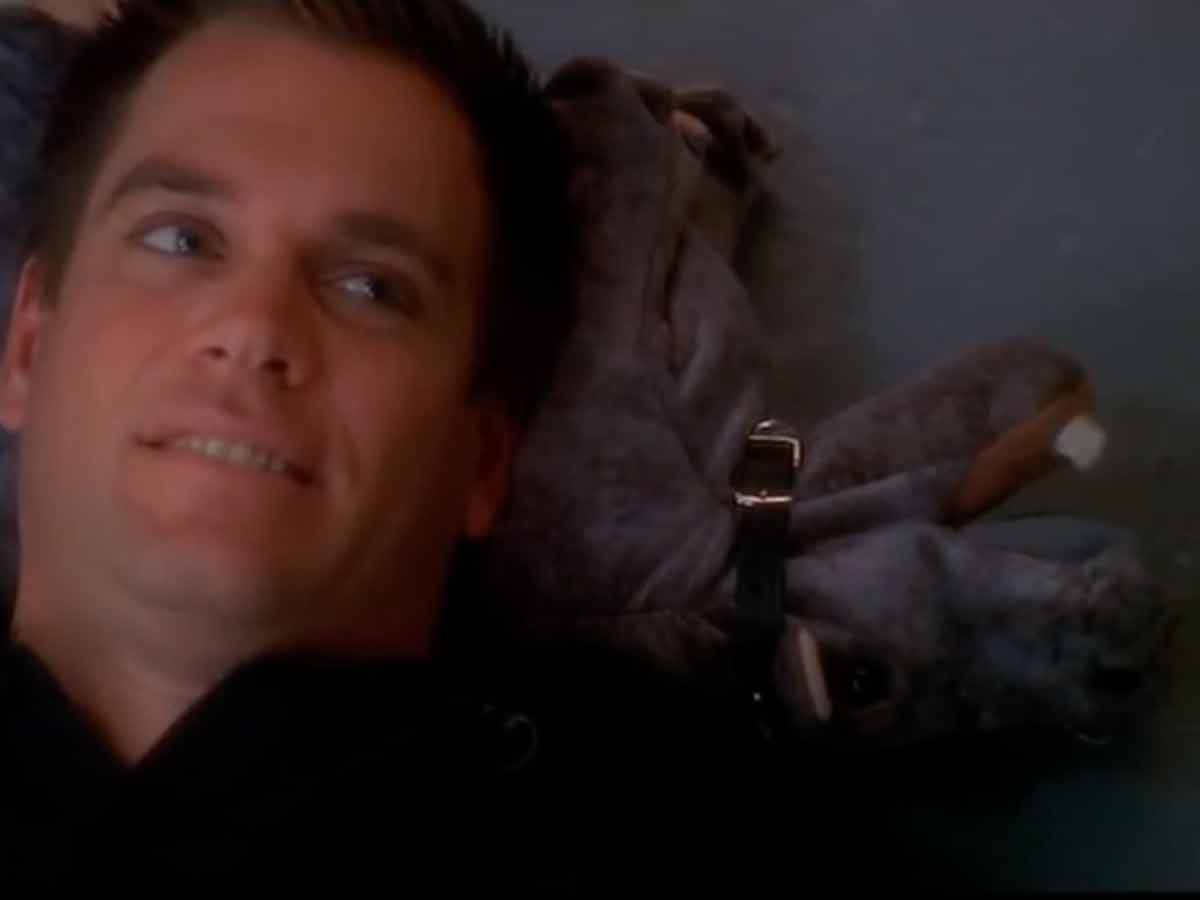 CBS got sued over Bert The Farting Hippo toy.