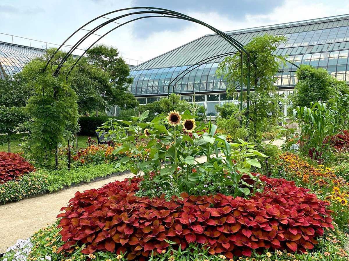 13. Garfield Park Conservatory