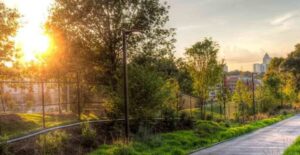 Sweet Tea and Sunshine: 15 Best Things to Do in Atlanta