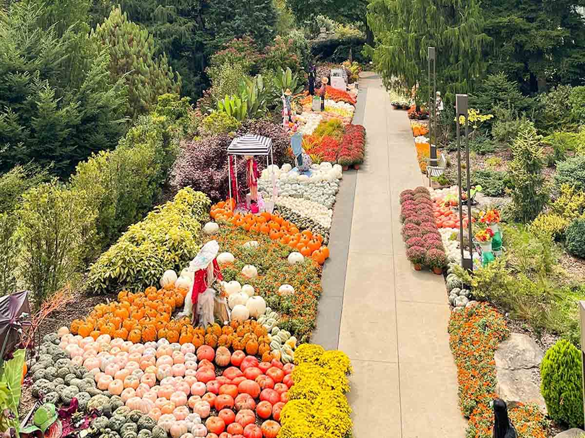 11. Atlanta Botanical Garden