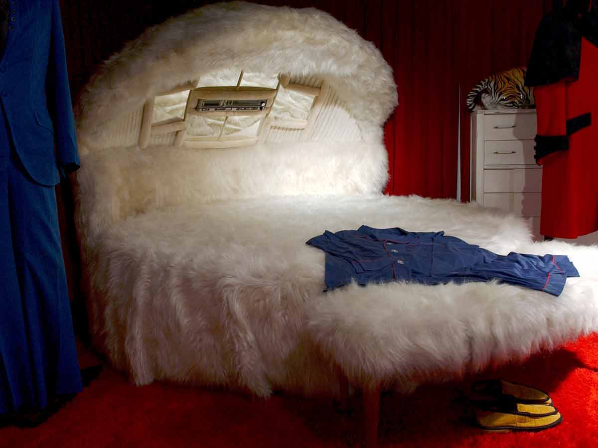 A Furry Bed