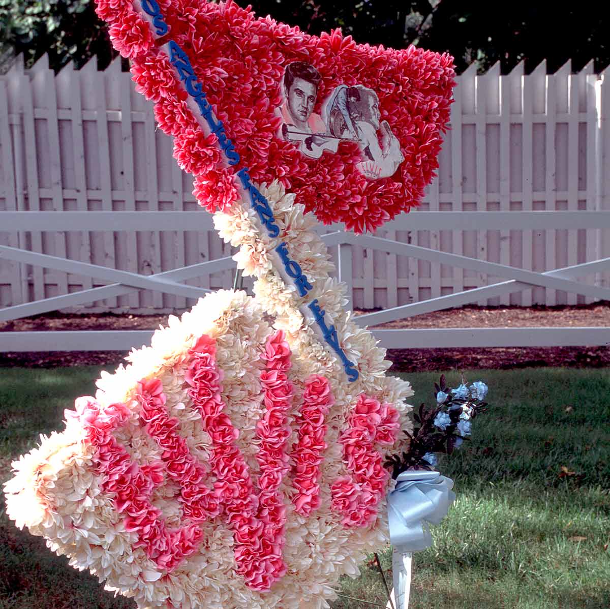 Flowers for the King