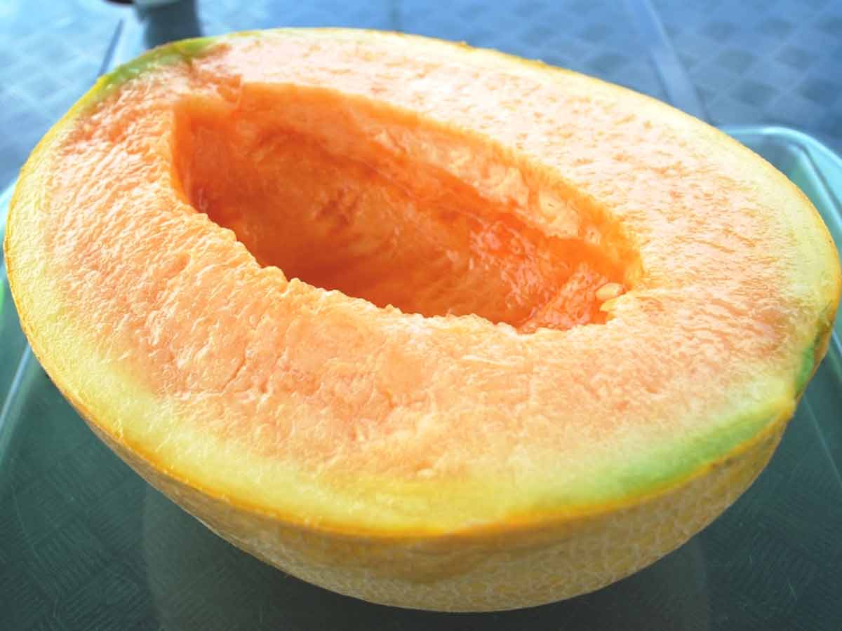Yubari Melon