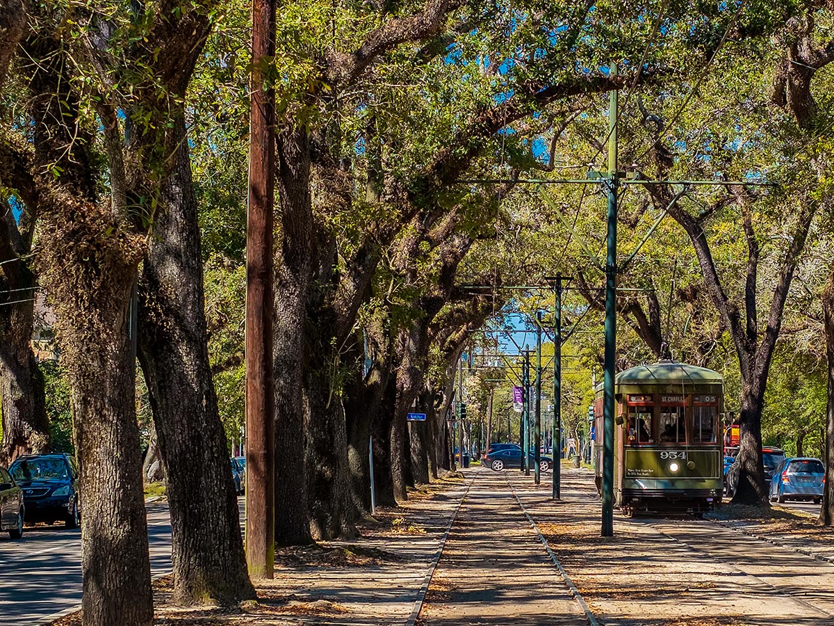 1. The New Orleans Streetcar & Garden District