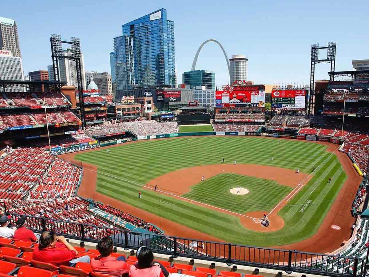 2. Play Ball! (Well…Cheer Them On)