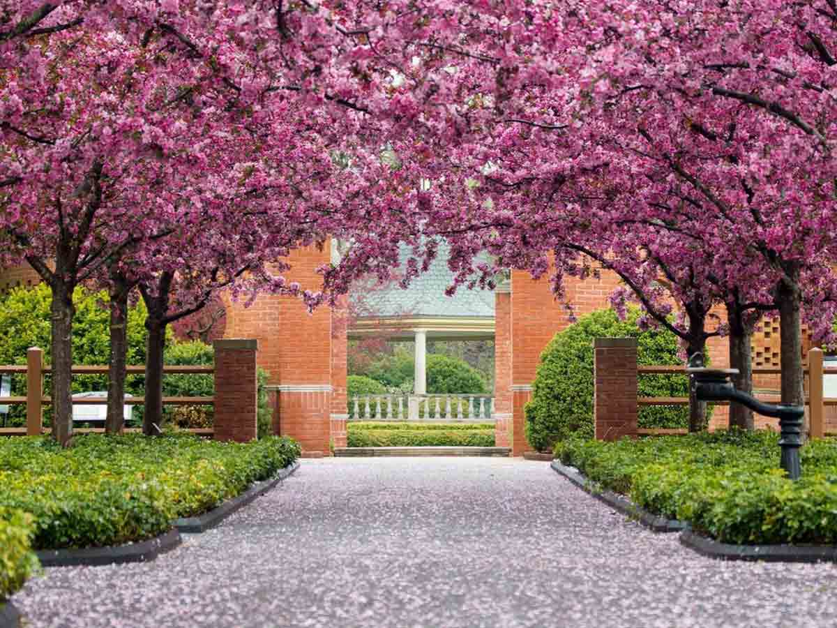11. Missouri Botanical Garden