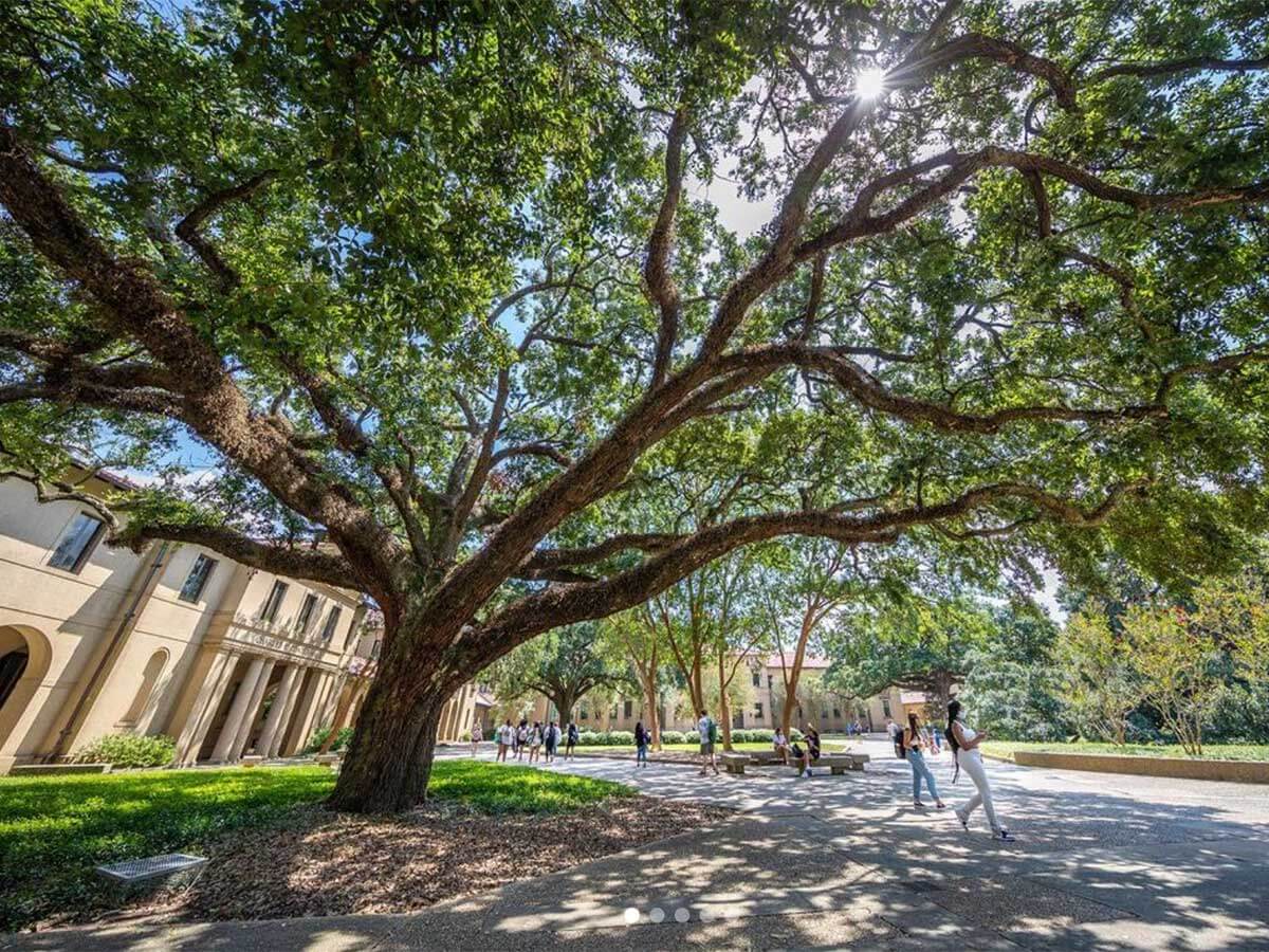 6. Louisiana State University