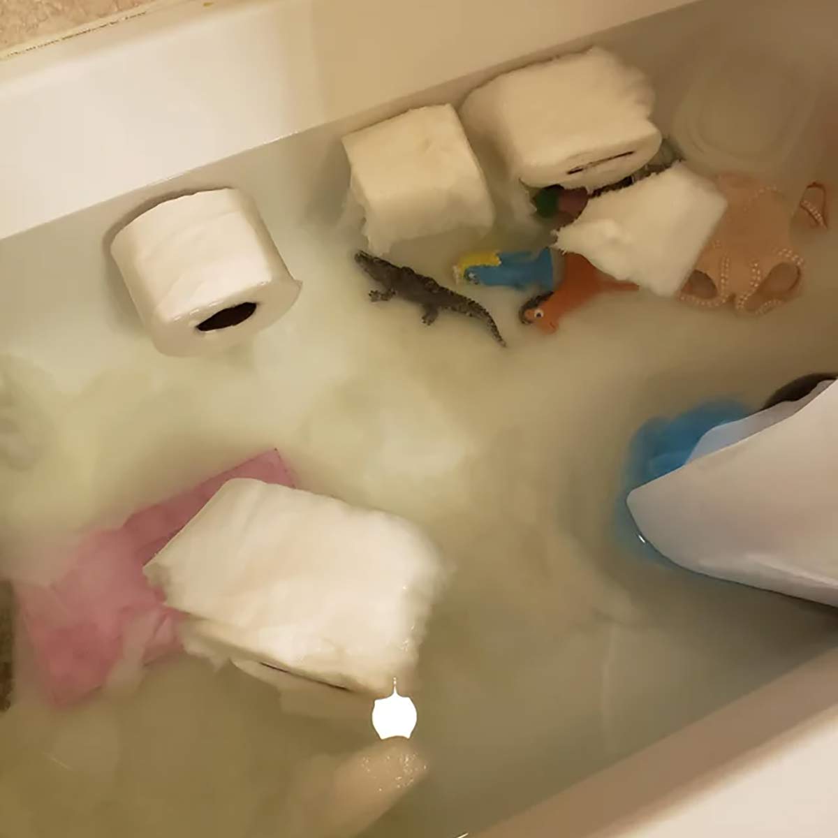 So, this is why there was a TP shortage...