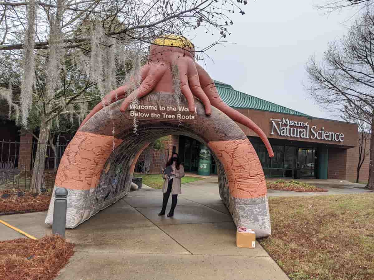 5. Mississippi Museum Of Natural Science