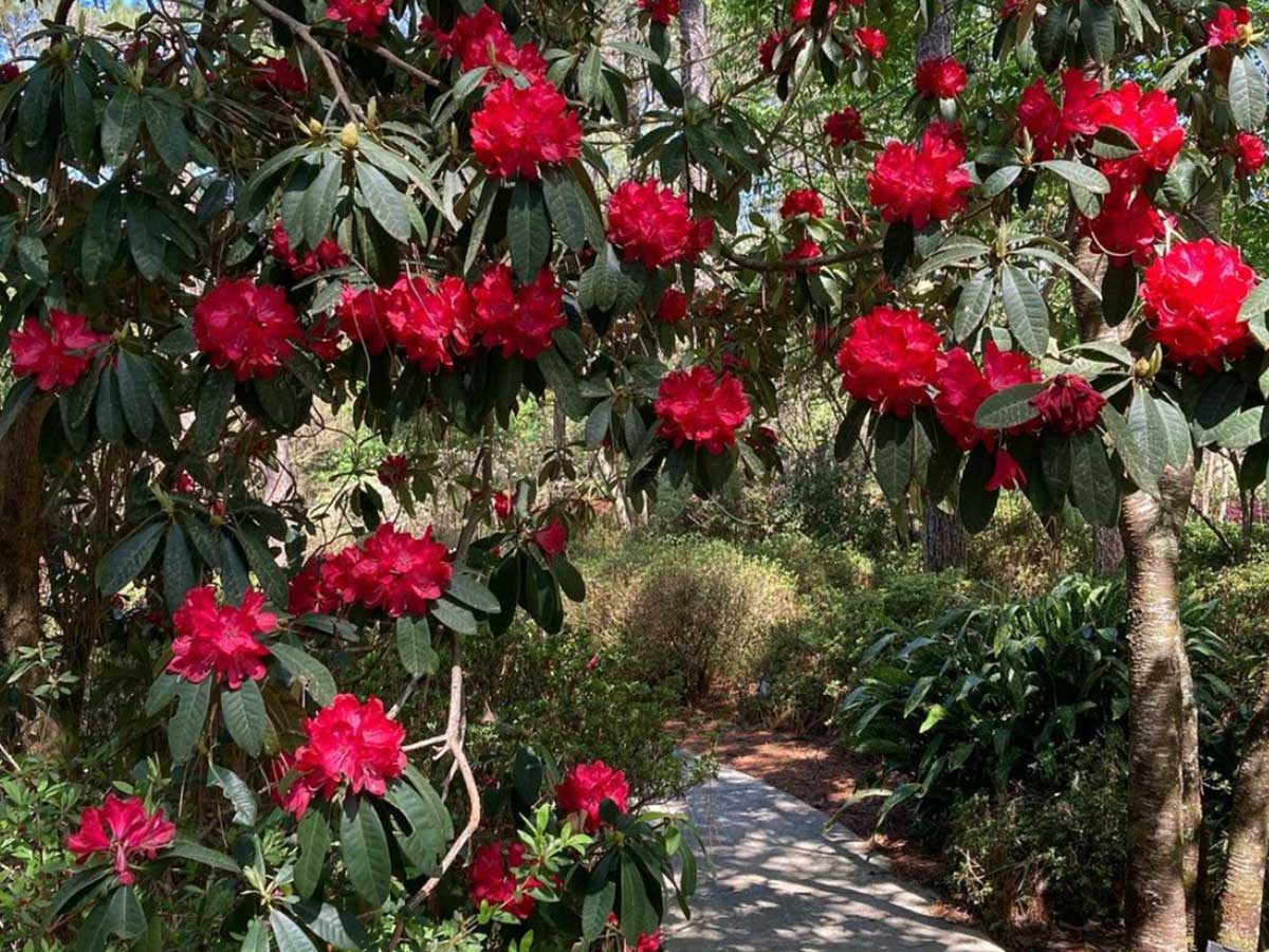 5. The Mobile Botanical Gardens