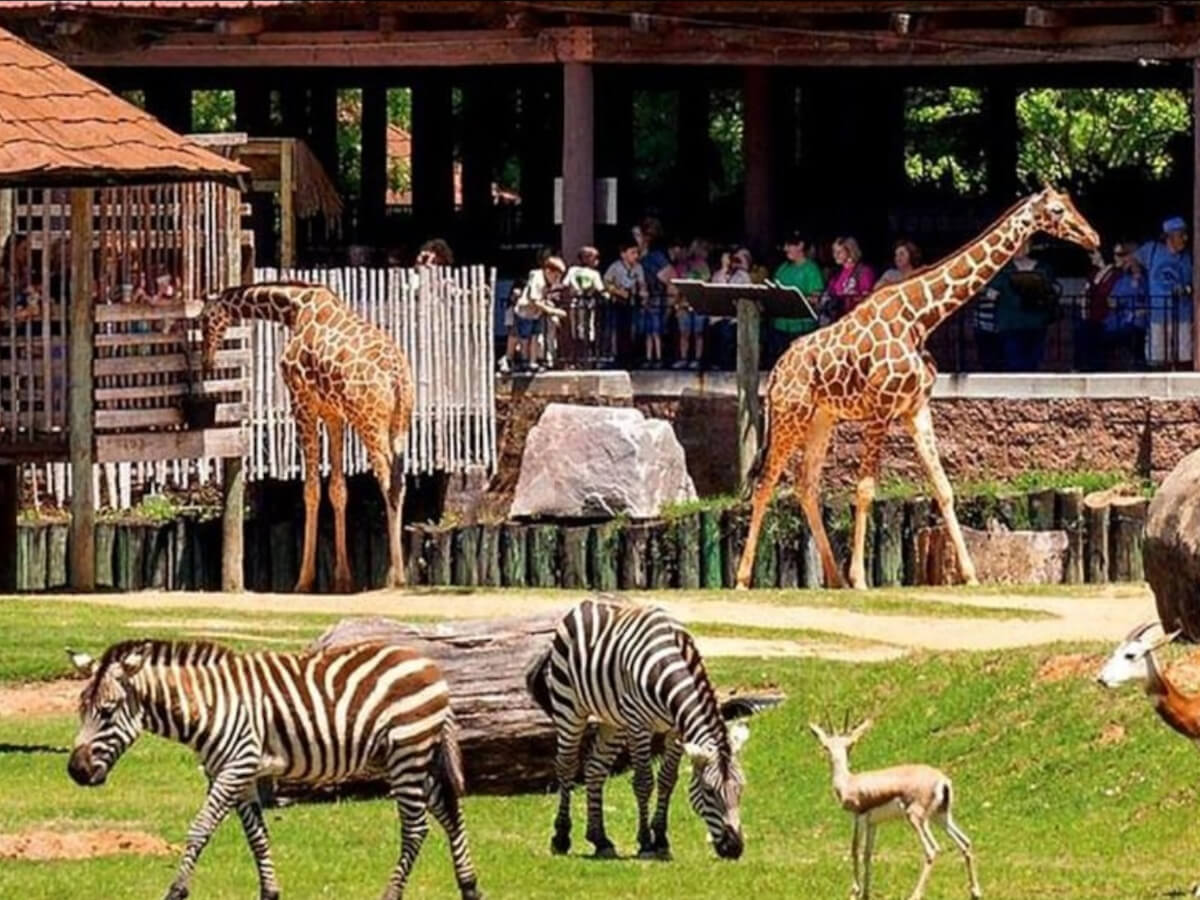 2. Montgomery Zoo
