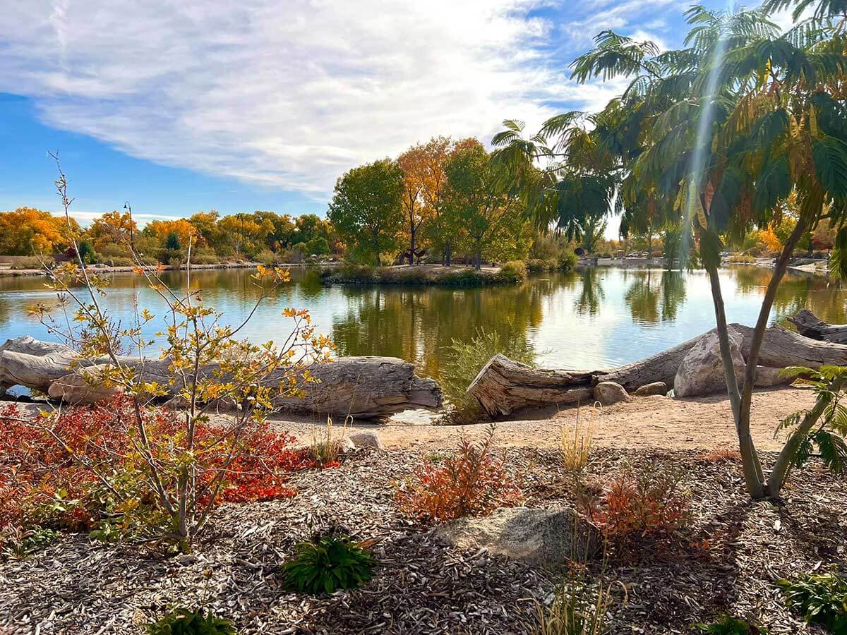 9. Explore the Nature Of ABQ BioPark