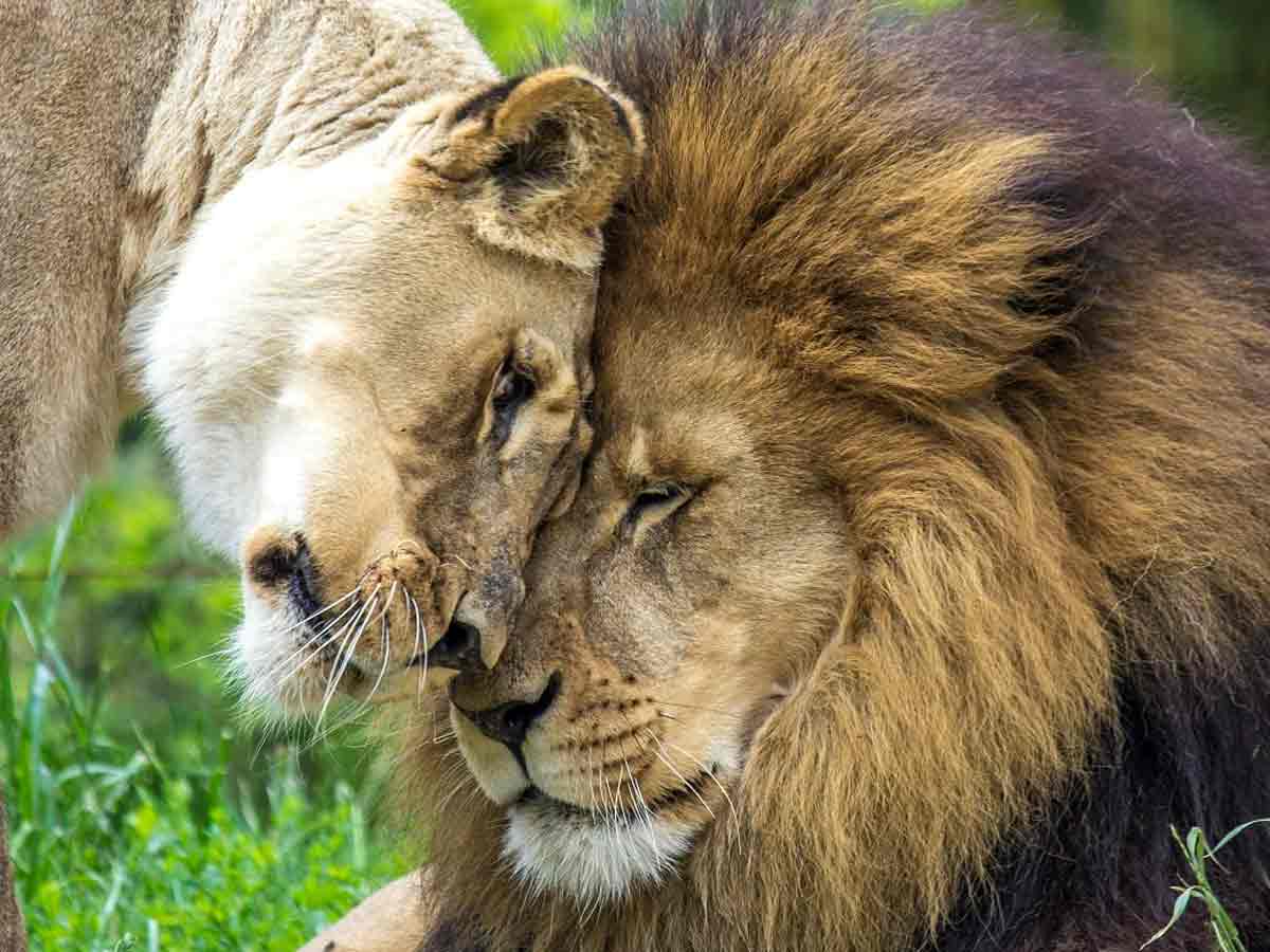 4. Birmingham Zoo