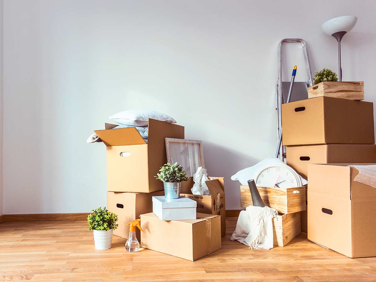 Cardboard Boxes