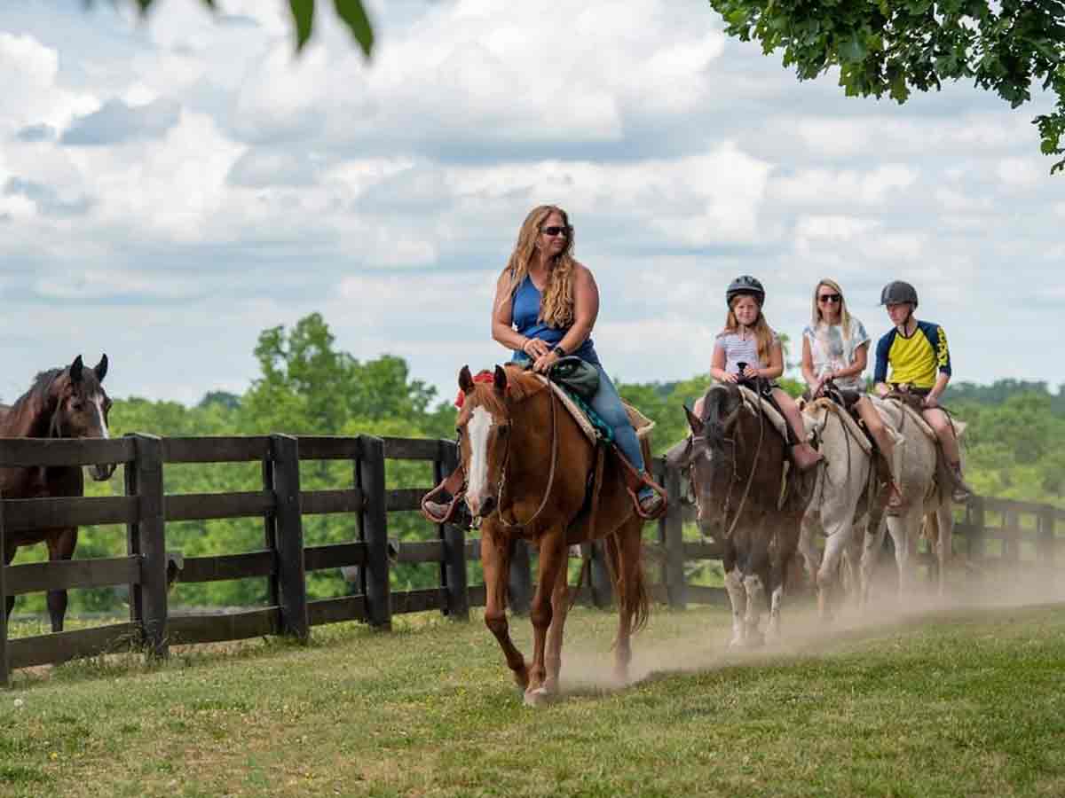 4. Saddle Up in The Kentucky Horse Park