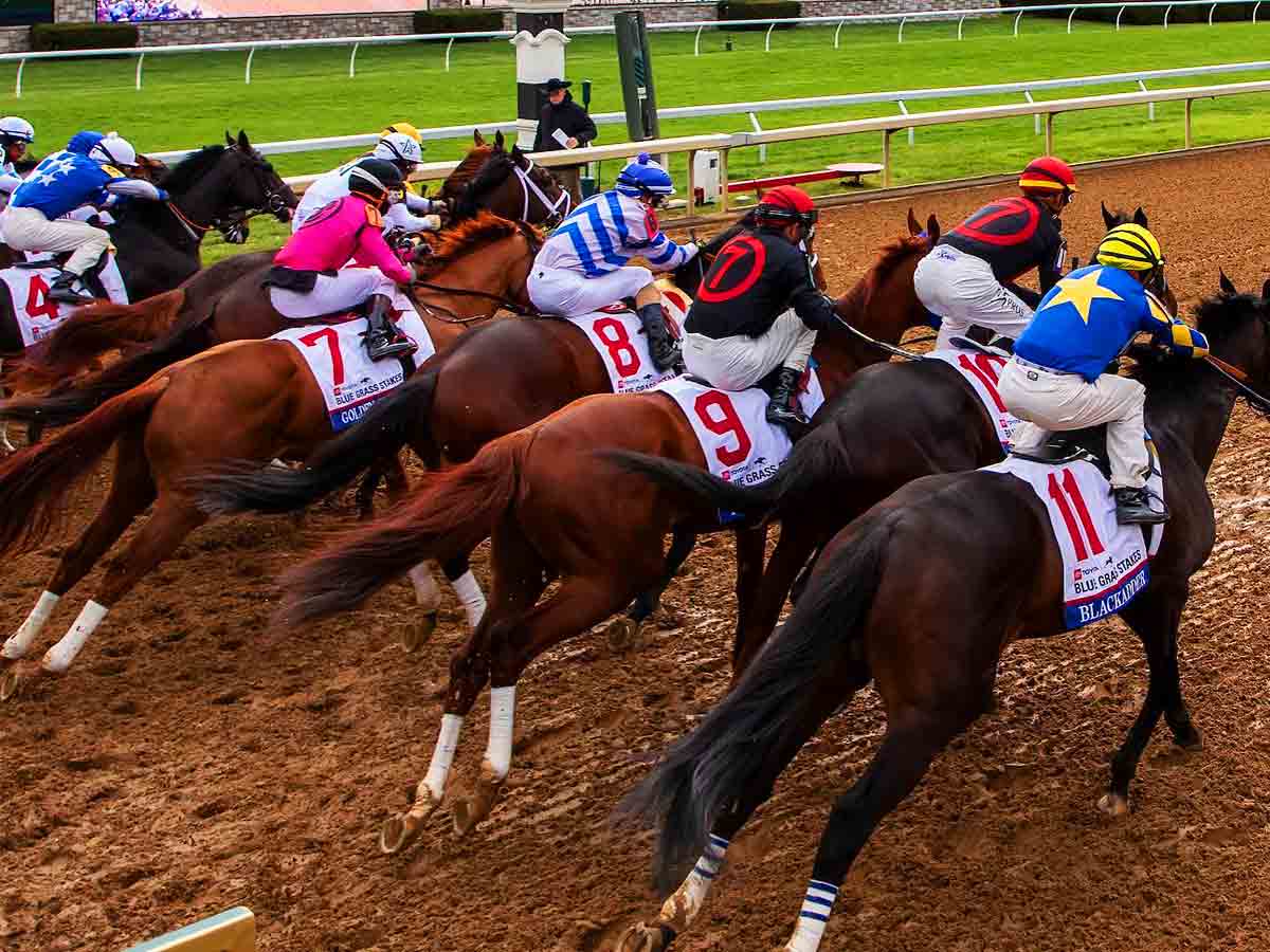 8. Go to Watch Keenland Race
