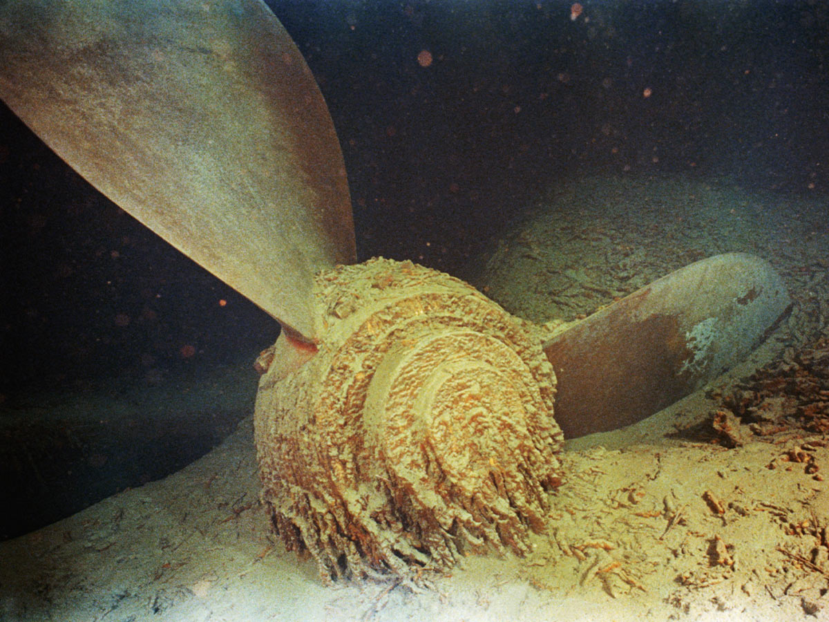 The Wreckage May Disappear by 2030
