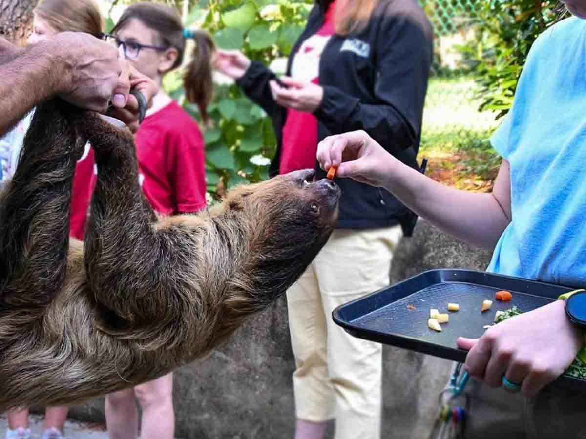 3. The Louisville Zoo