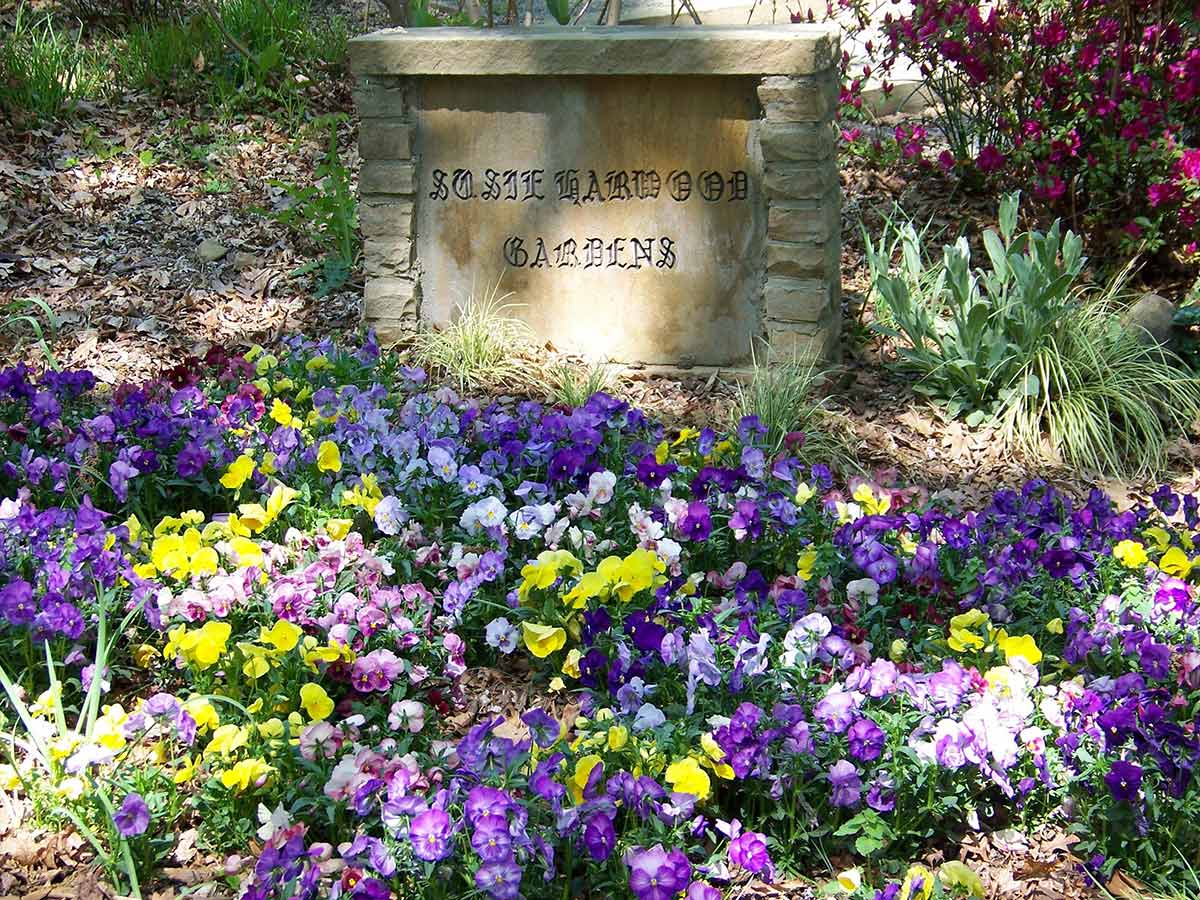 13. Explore the Scenery at UNC Charlotte Botanical Gardens