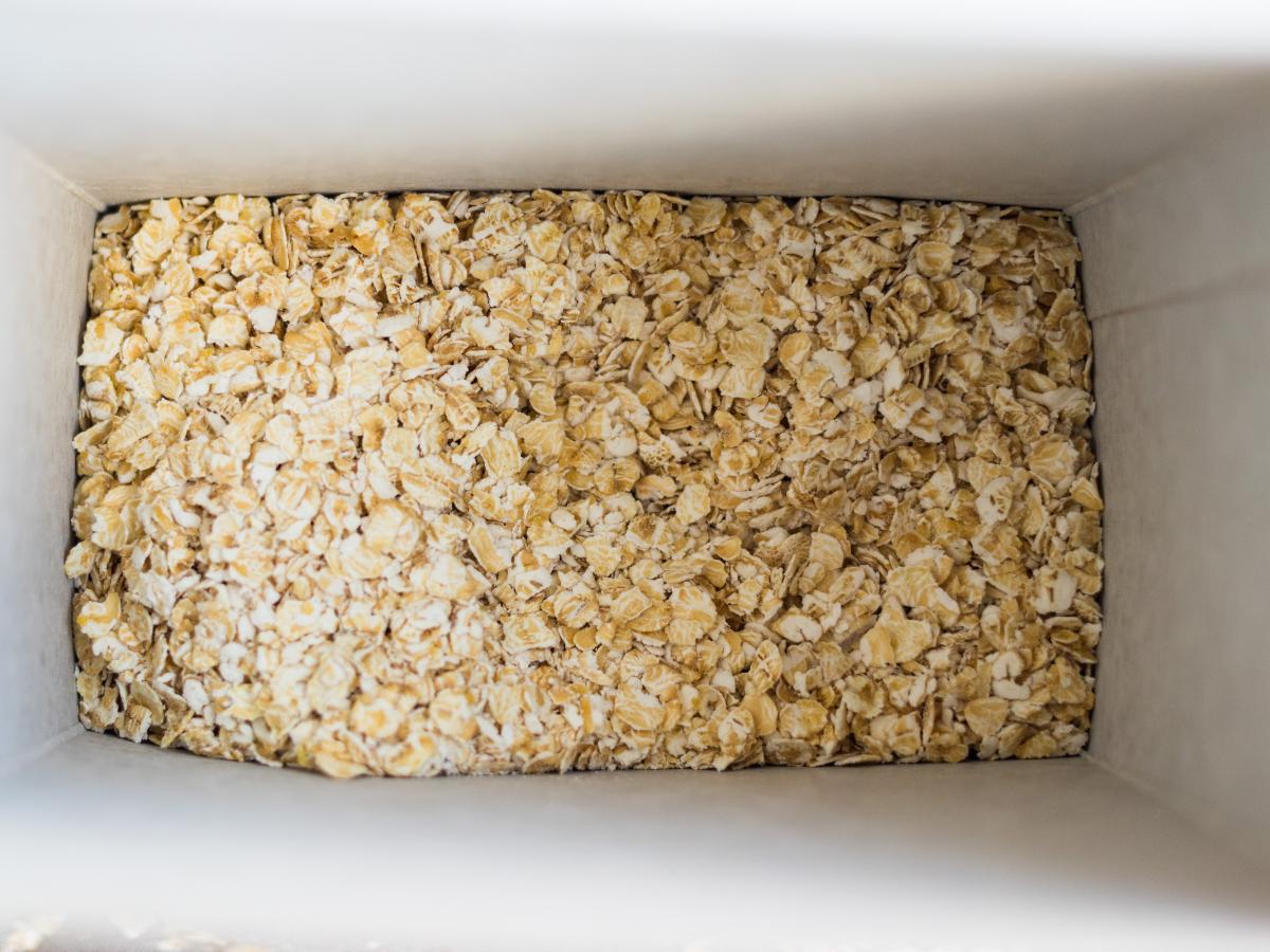 Oatmeal | Generic