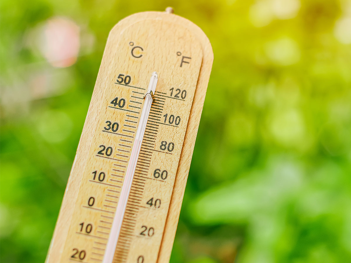 Imperial Measurements Instead of the Metric System