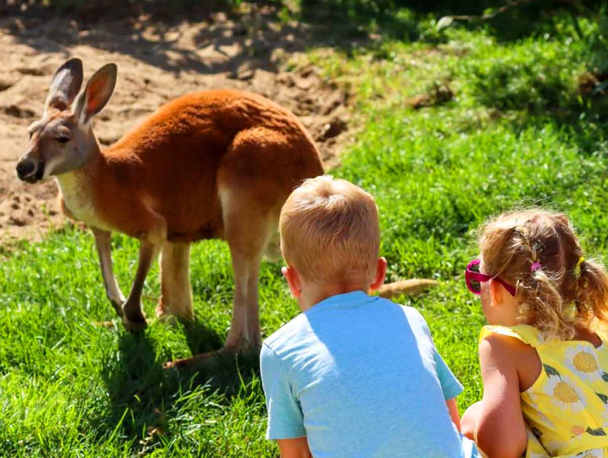 4. Indianapolis Zoo