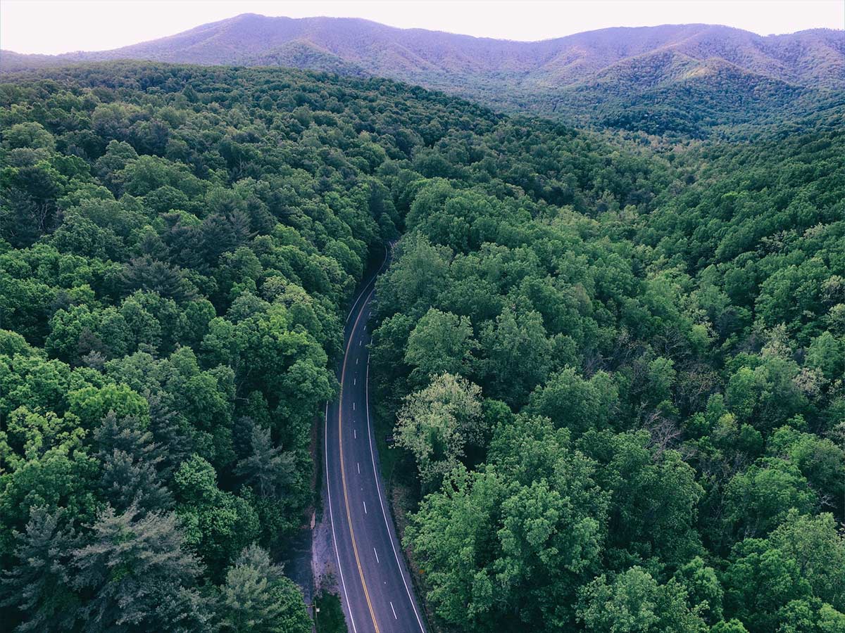 Virginia